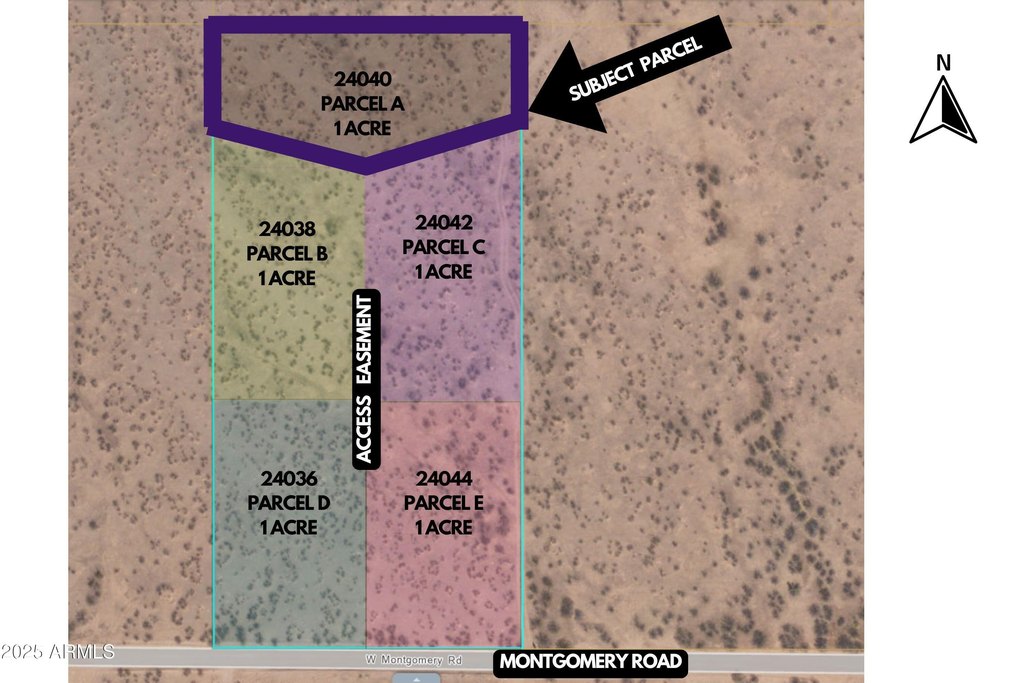 Picture 6