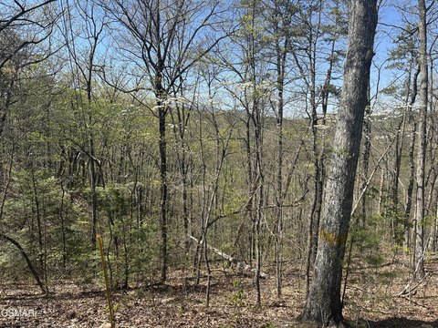Pigeon Forge Land For Sale