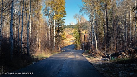 LAND - Alta, WY
