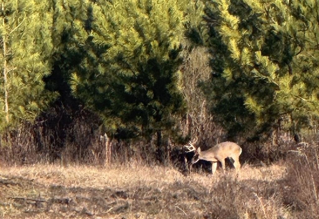 Picture 14