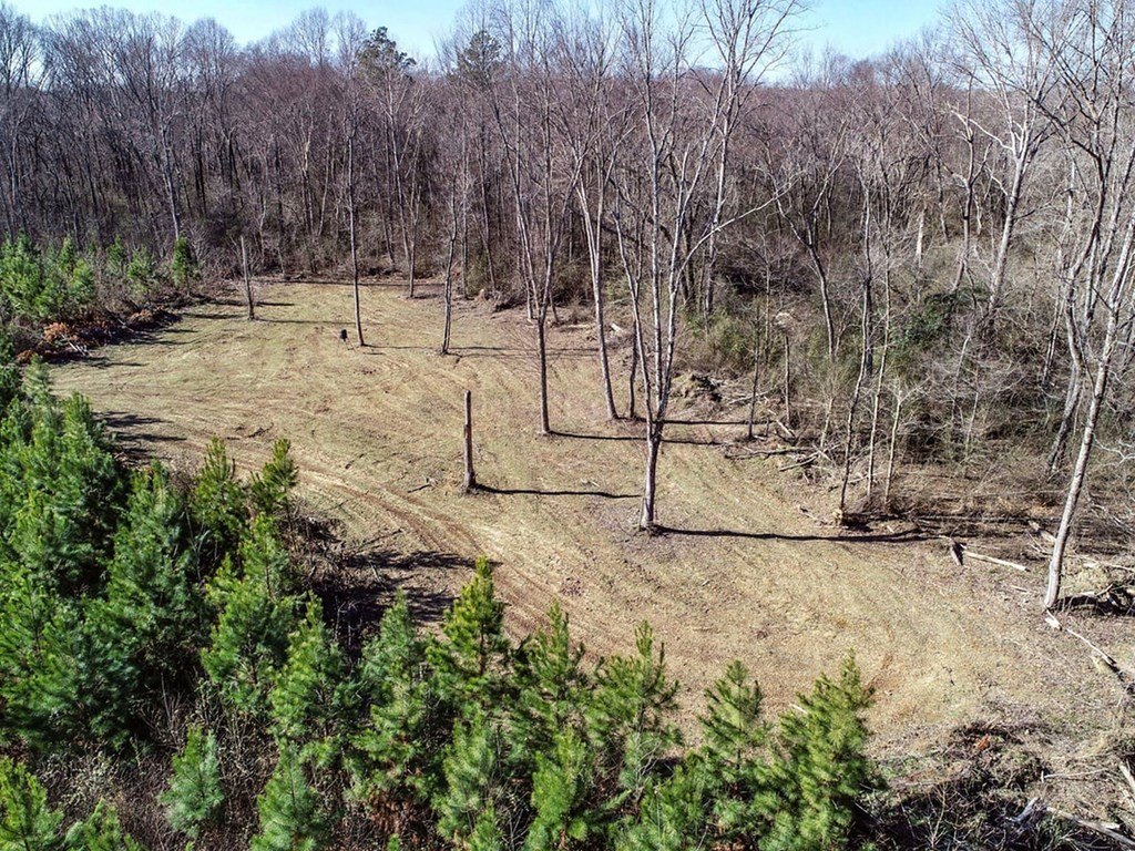 Picture 18