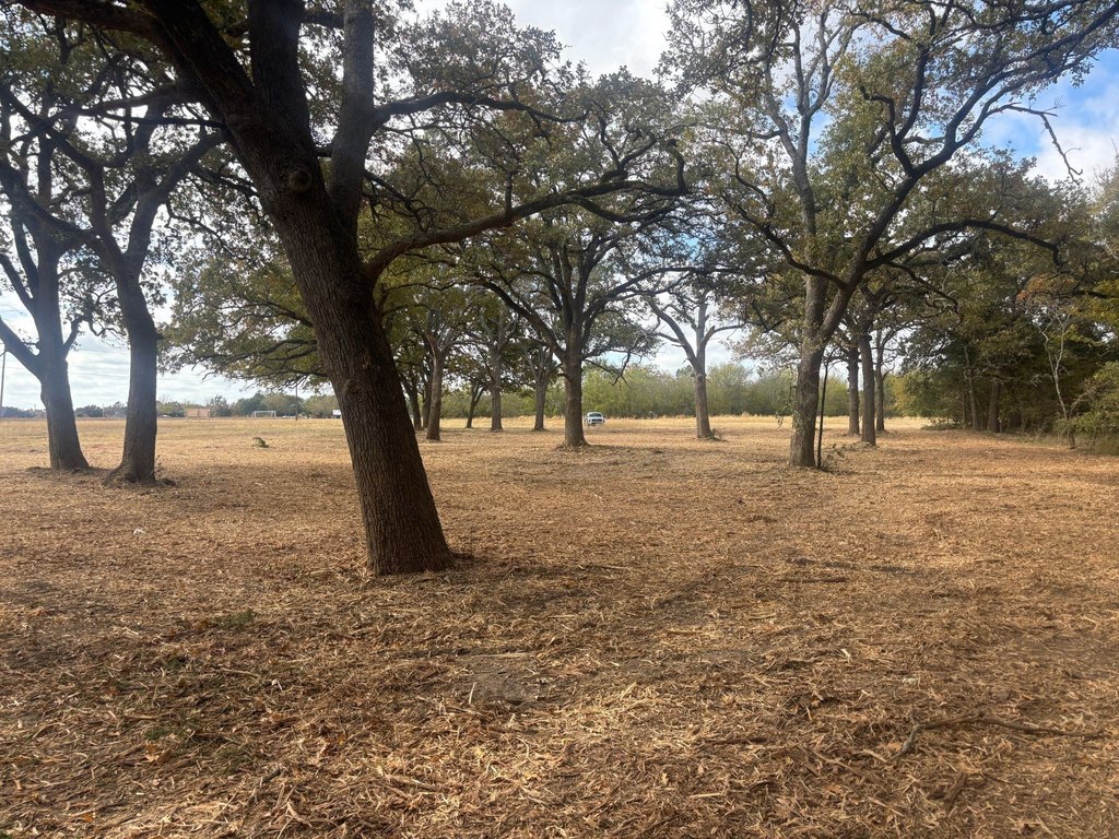Picture 12