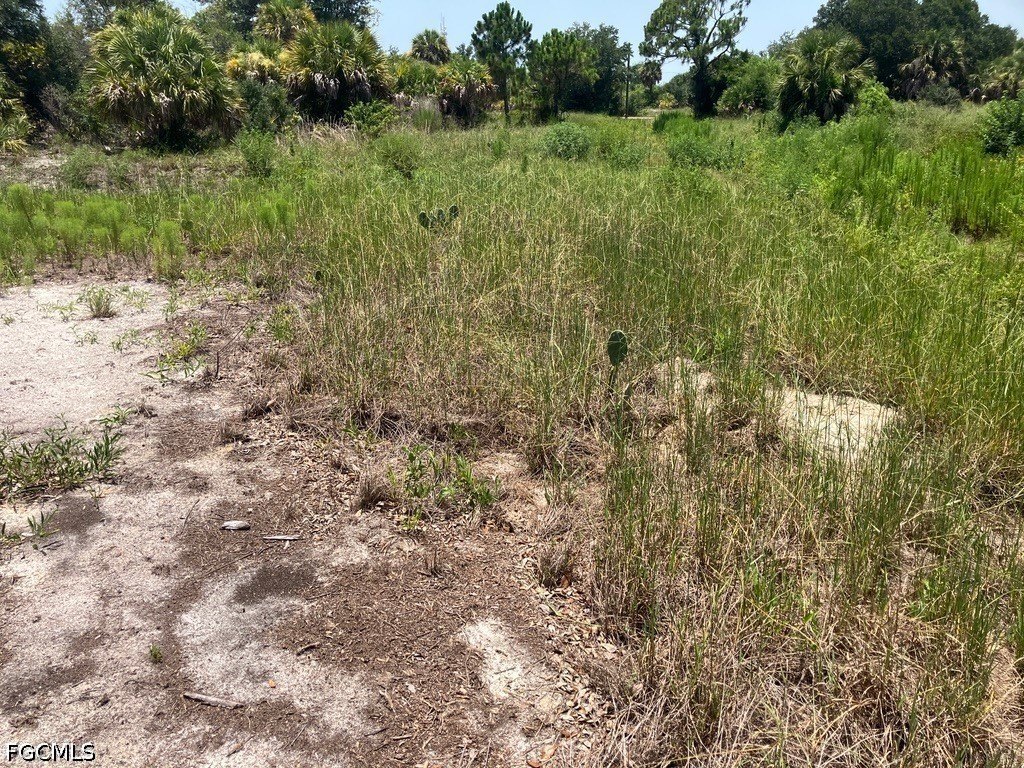 Picture 9