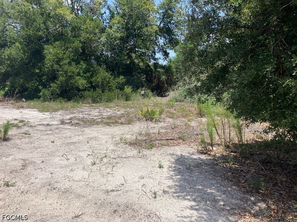 Picture 8