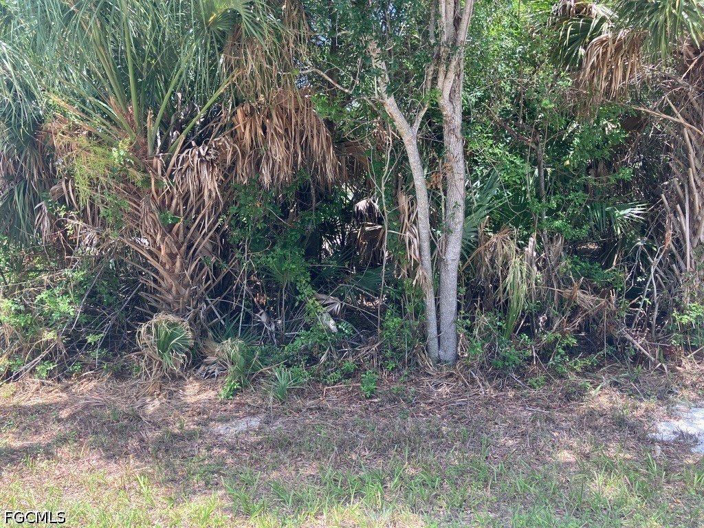 Picture 6