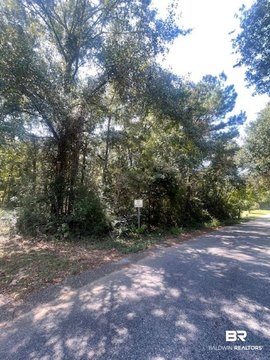 Undeveloped Lot in Semmes, AL