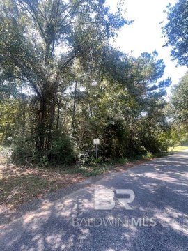 Undeveloped Lot in Semmes, AL