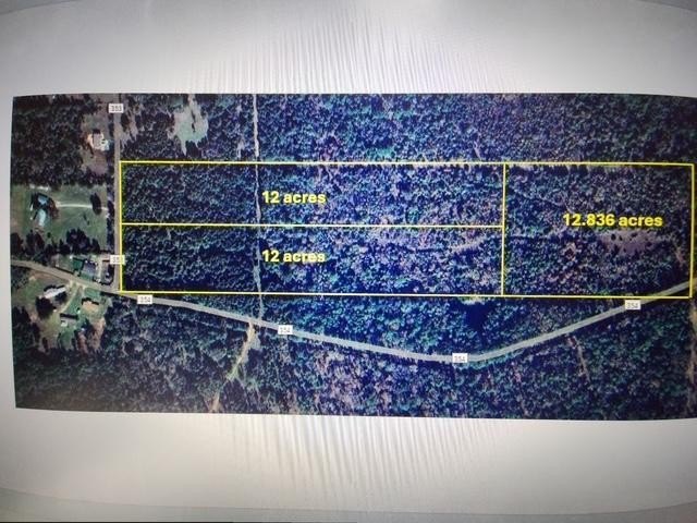 Wooded Acreage in Palestine, TX