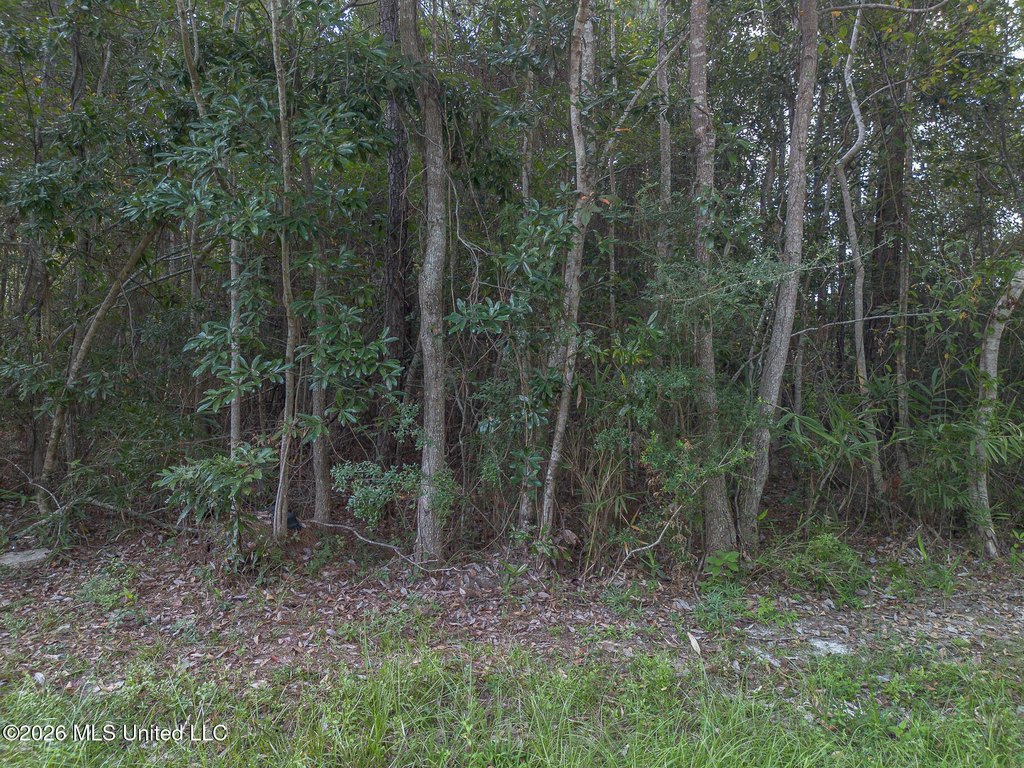 Picture 2