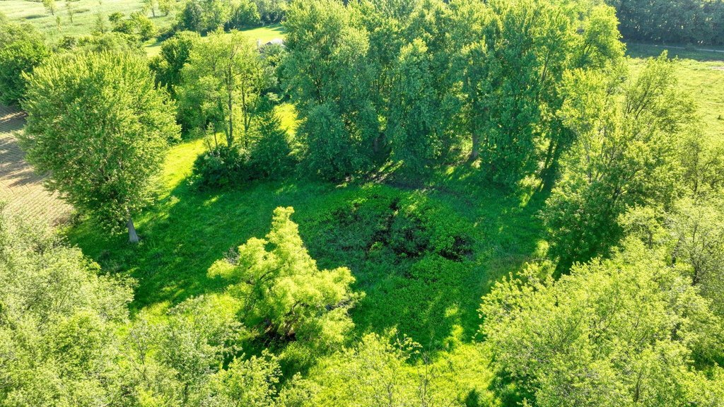 Picture 10