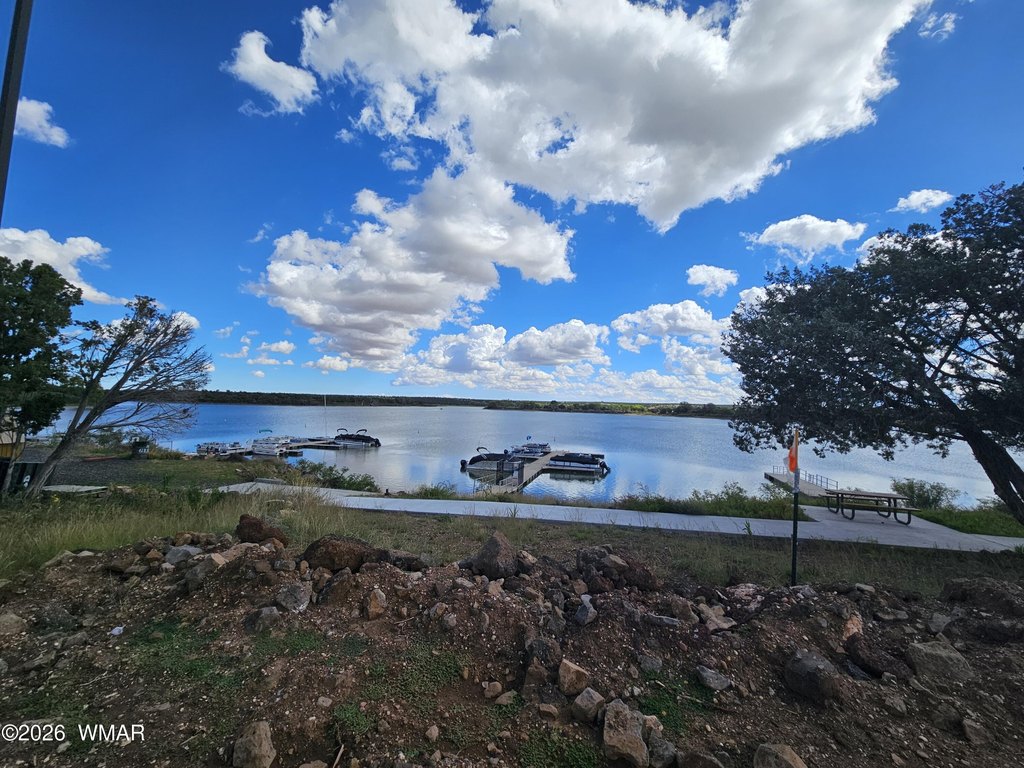 Picture 20