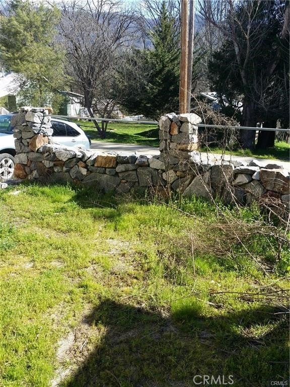 Picture 8