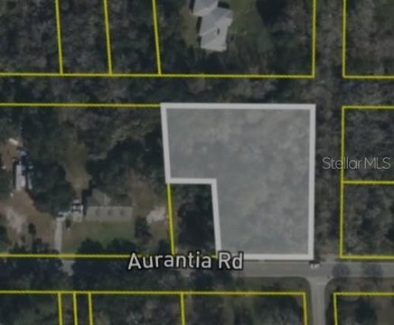 MIMS, FL 1.1-Acre Land Parcel