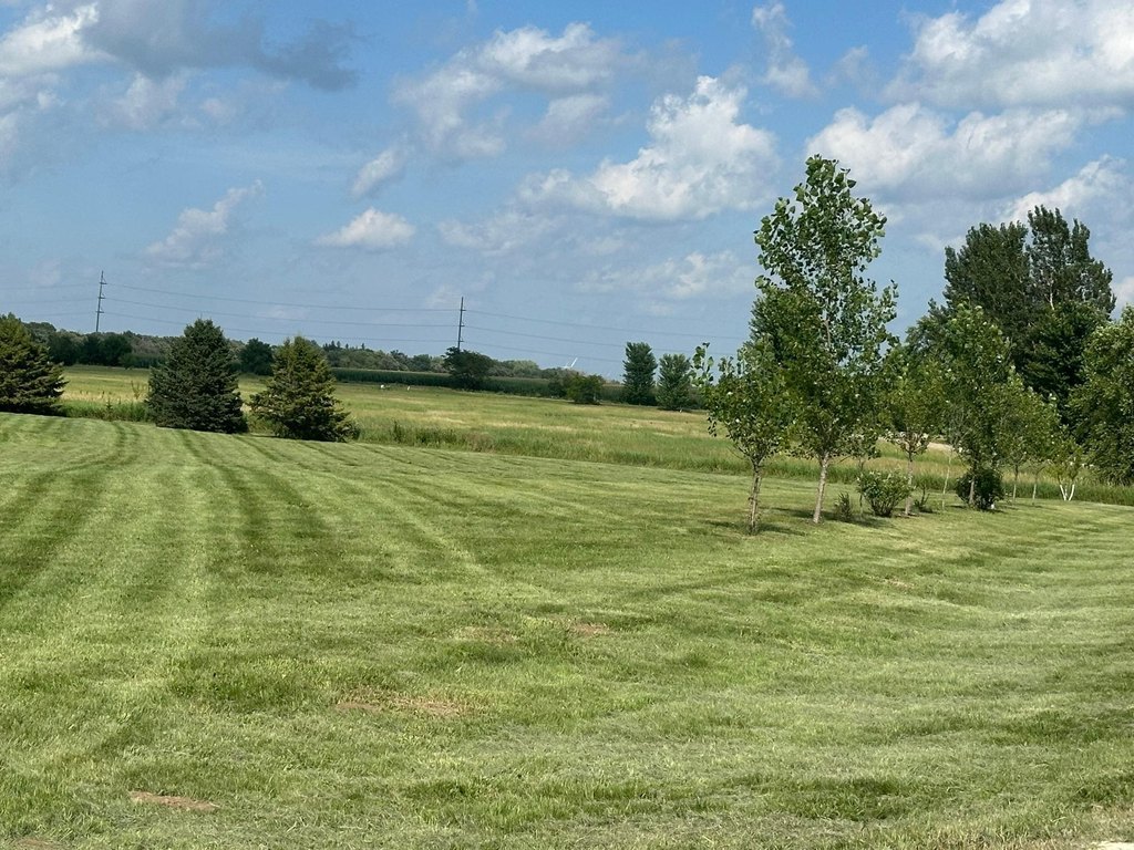 Picture 6