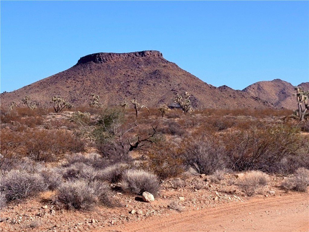 Picture 6