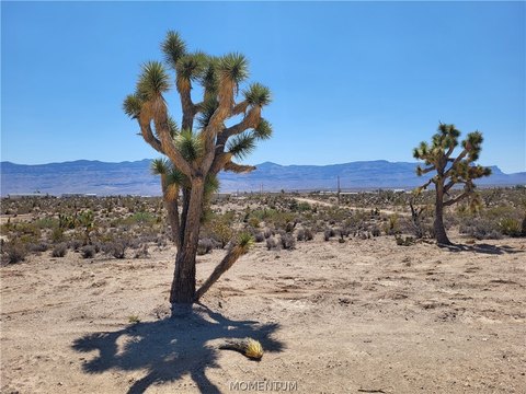 Land, Meadview, AZ