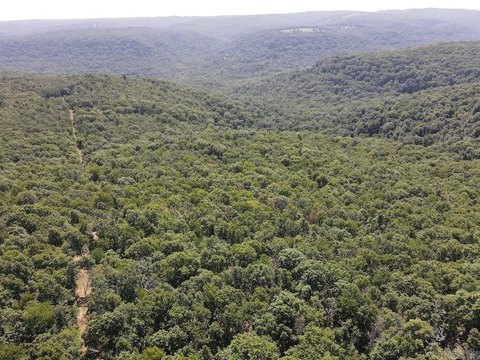 LAND - Green For., AR