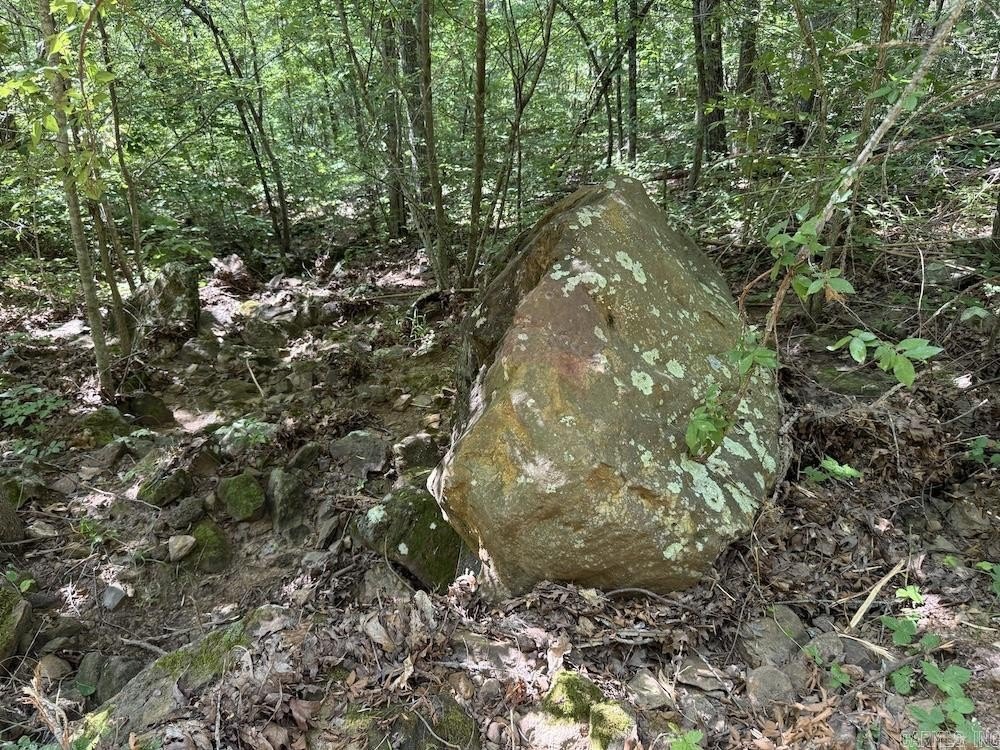 Picture 43