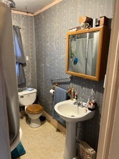 Picture 16