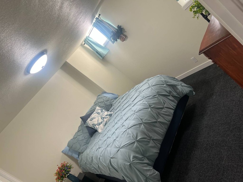 Picture 43