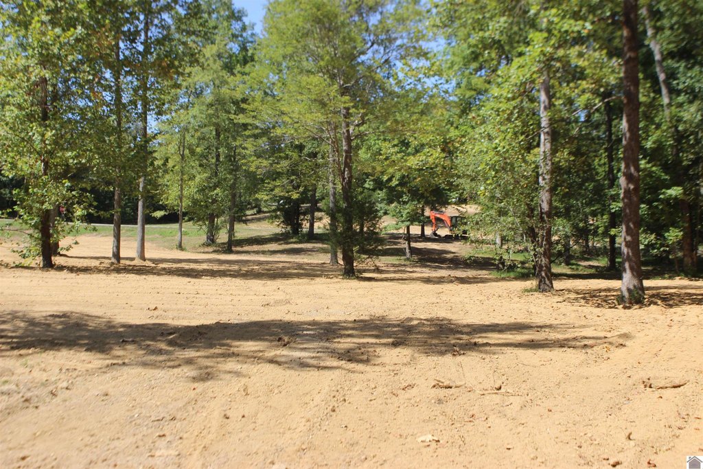 Picture 18