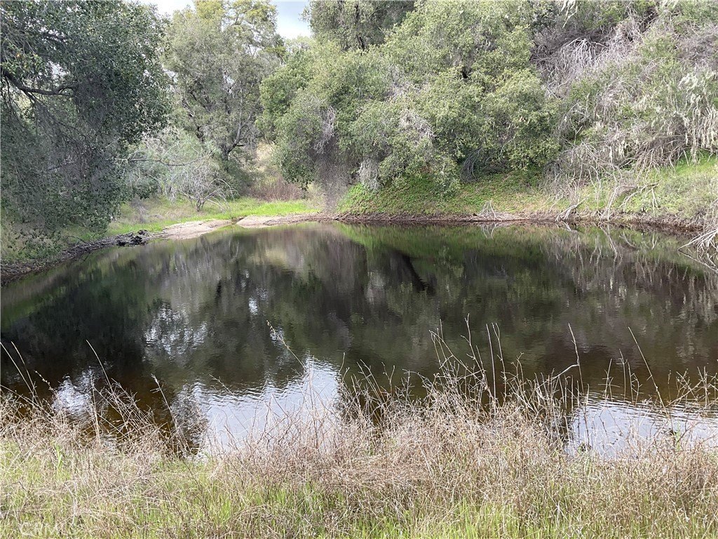 40 Acres with Seasonal Pond