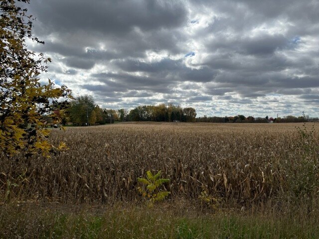 Picture 13