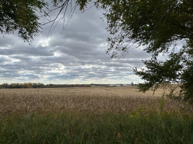 Picture 11