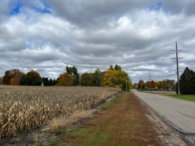 Picture 15