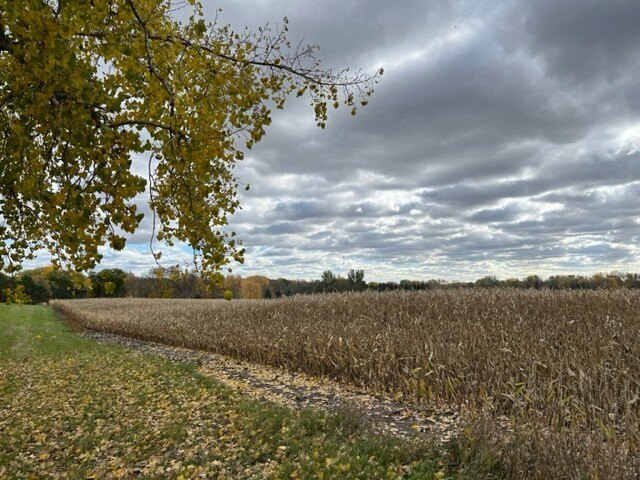 Picture 12