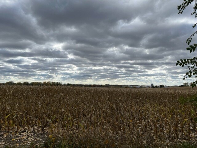 Picture 16