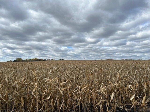 Picture 10