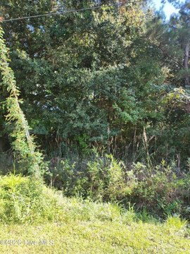 Land, Burgaw, NC