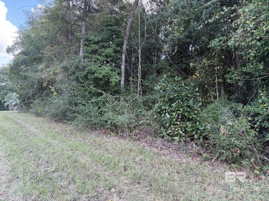 Picture 3