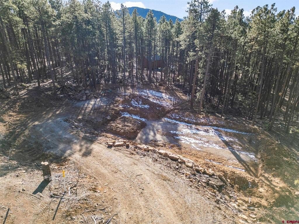 Land For Sale, Bayfield, CO