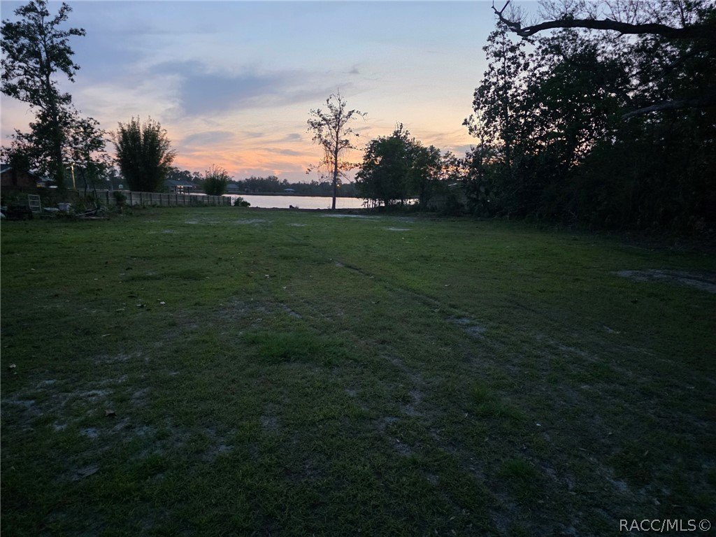 Picture 7
