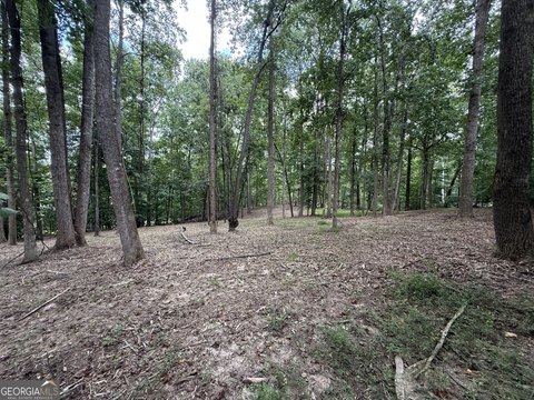 Gainesville Land with Lake Views