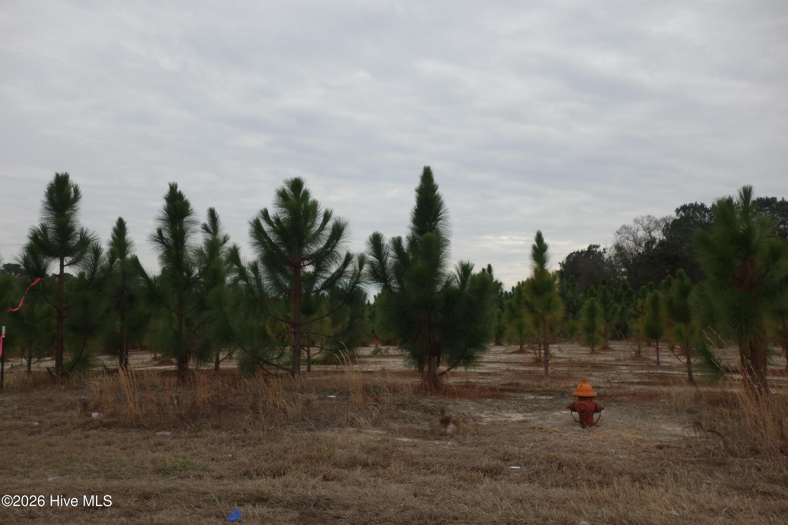 Residential Land in Fairmont, NC