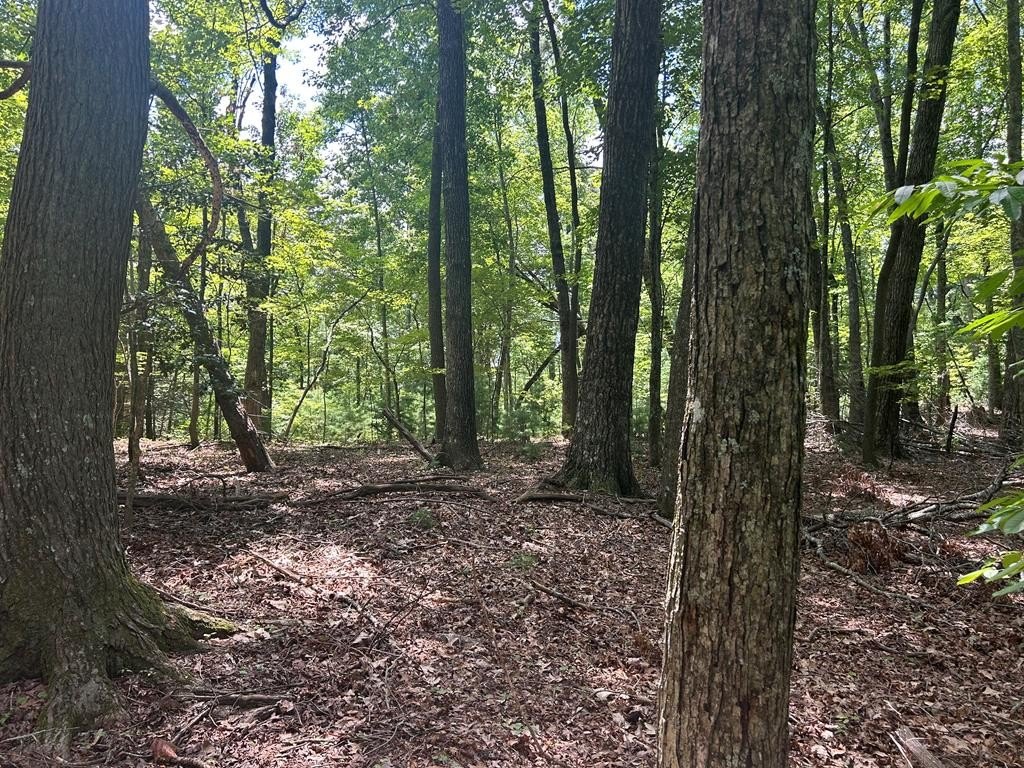 Blue Ridge Acreage For Sale