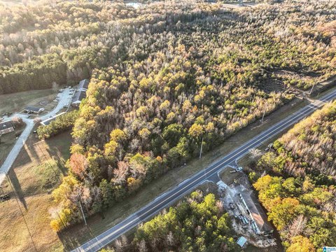 Commercial Land with Highway 31 Frontage