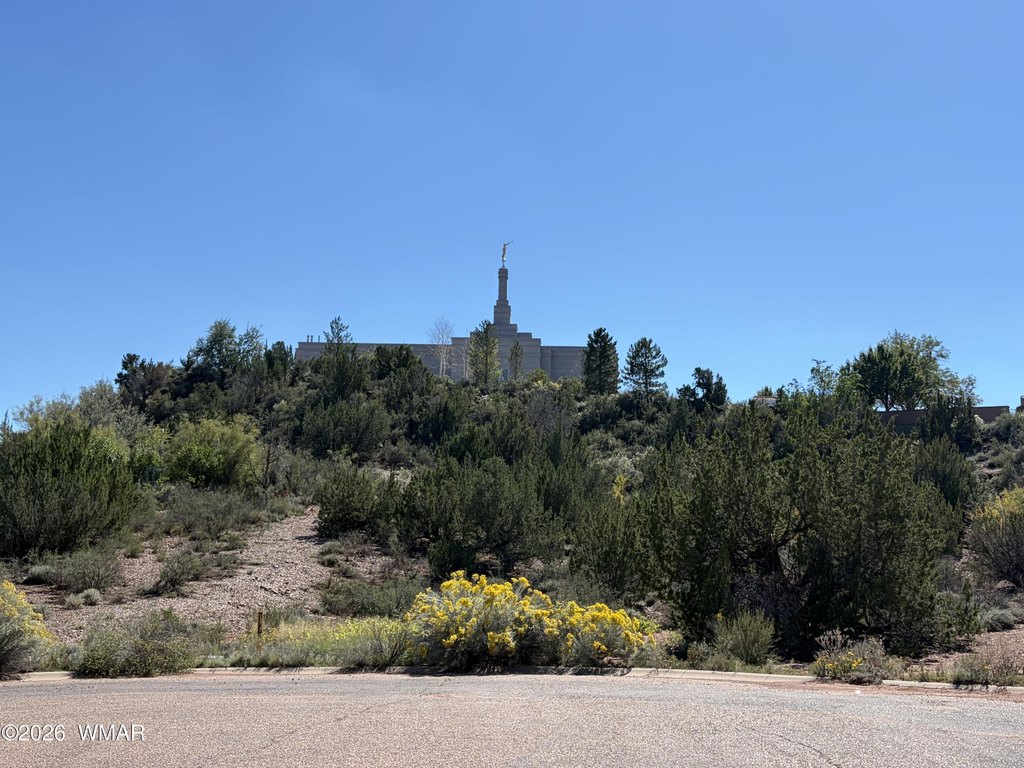 Picture 30