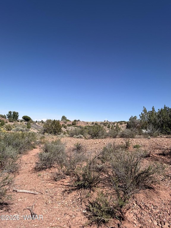 Picture 22