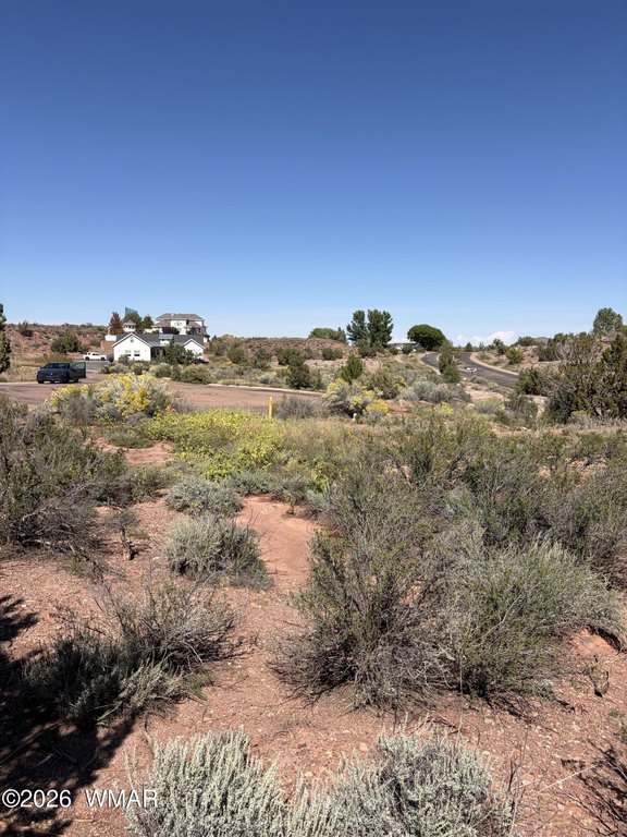 Picture 21