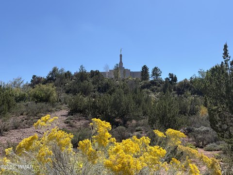 Land, Snowflake, AZ