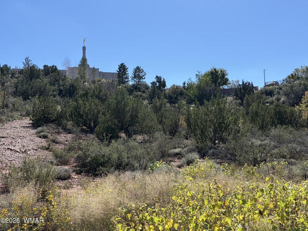 Picture 32