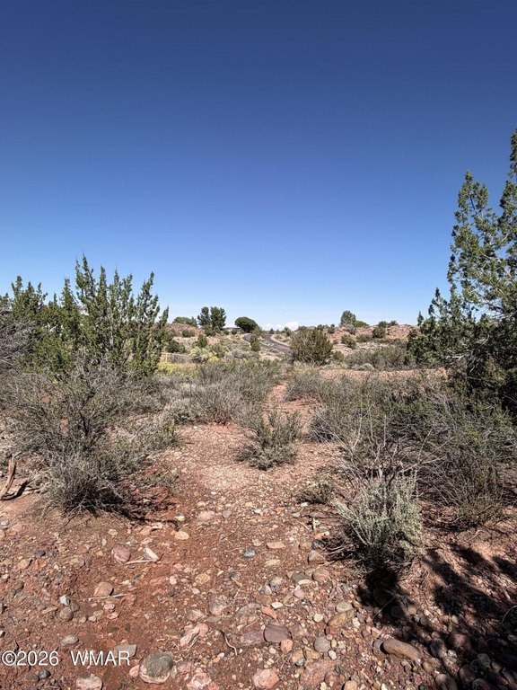 Picture 24
