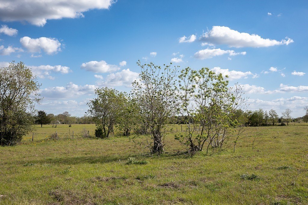Picture 11