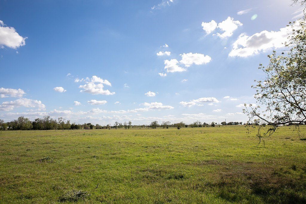 Picture 12