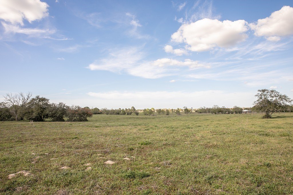 Picture 9