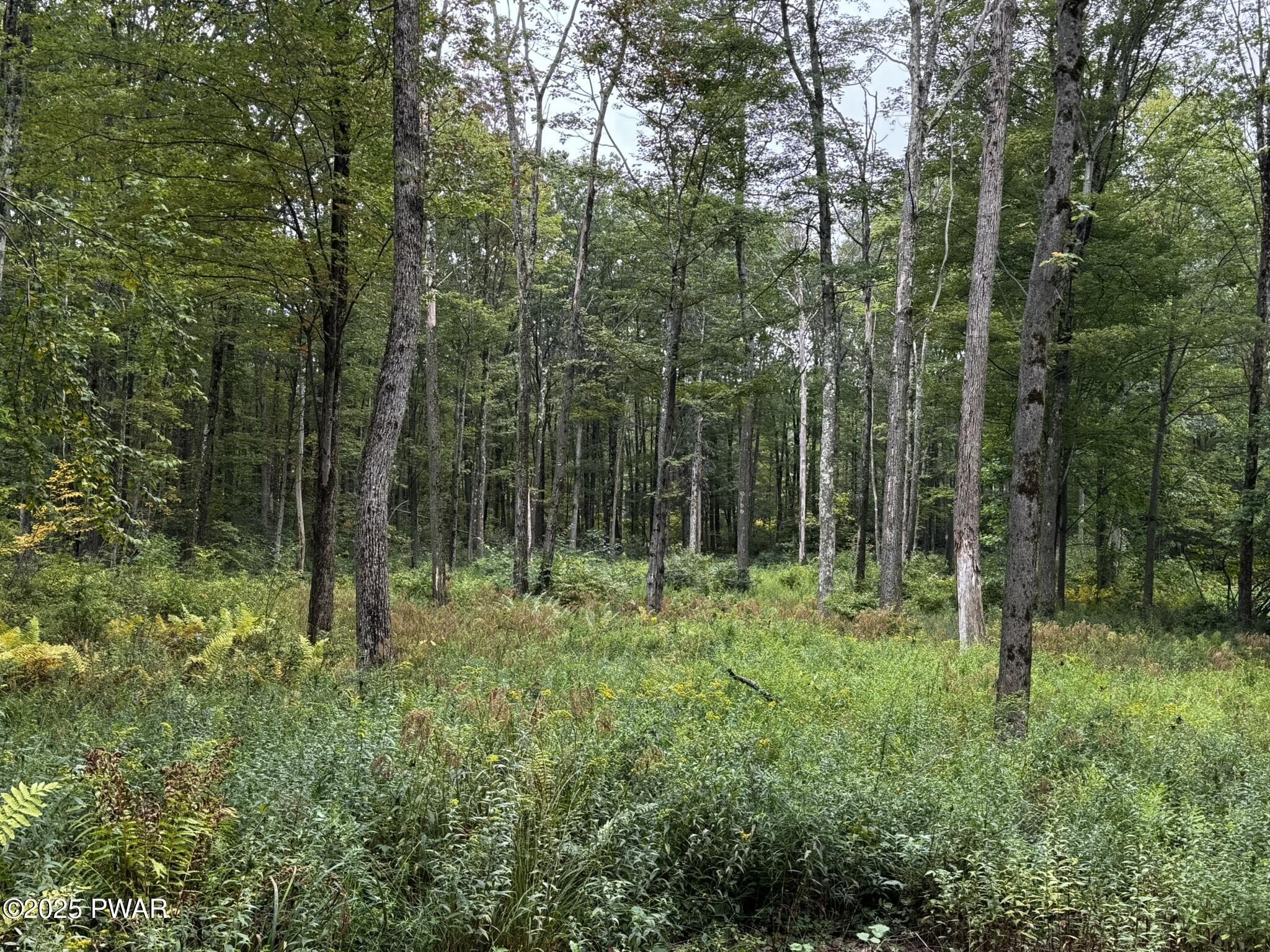 Wooded Lot in Salem Estates